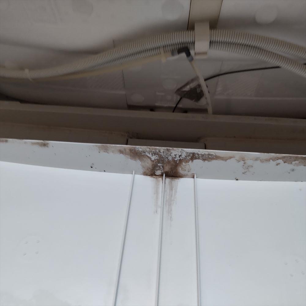 お久しぶりです！